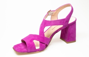 Fuschia